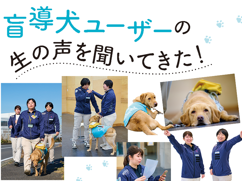 盲導犬ユーザーの生の声を聞いてきた！